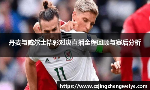 yy易游丹麦与威尔士精彩对决直播全程回顾与赛后分析