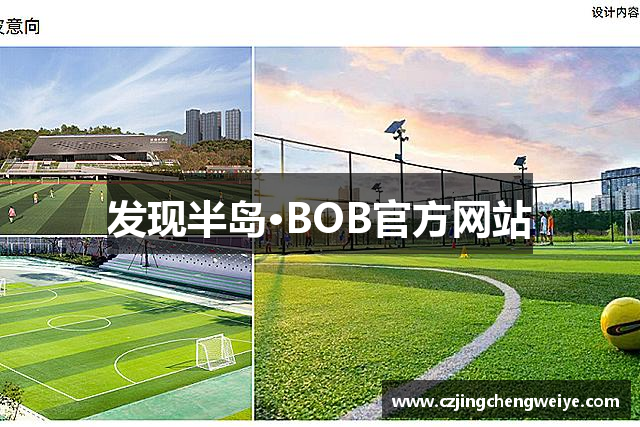 发现半岛·BOB官方网站